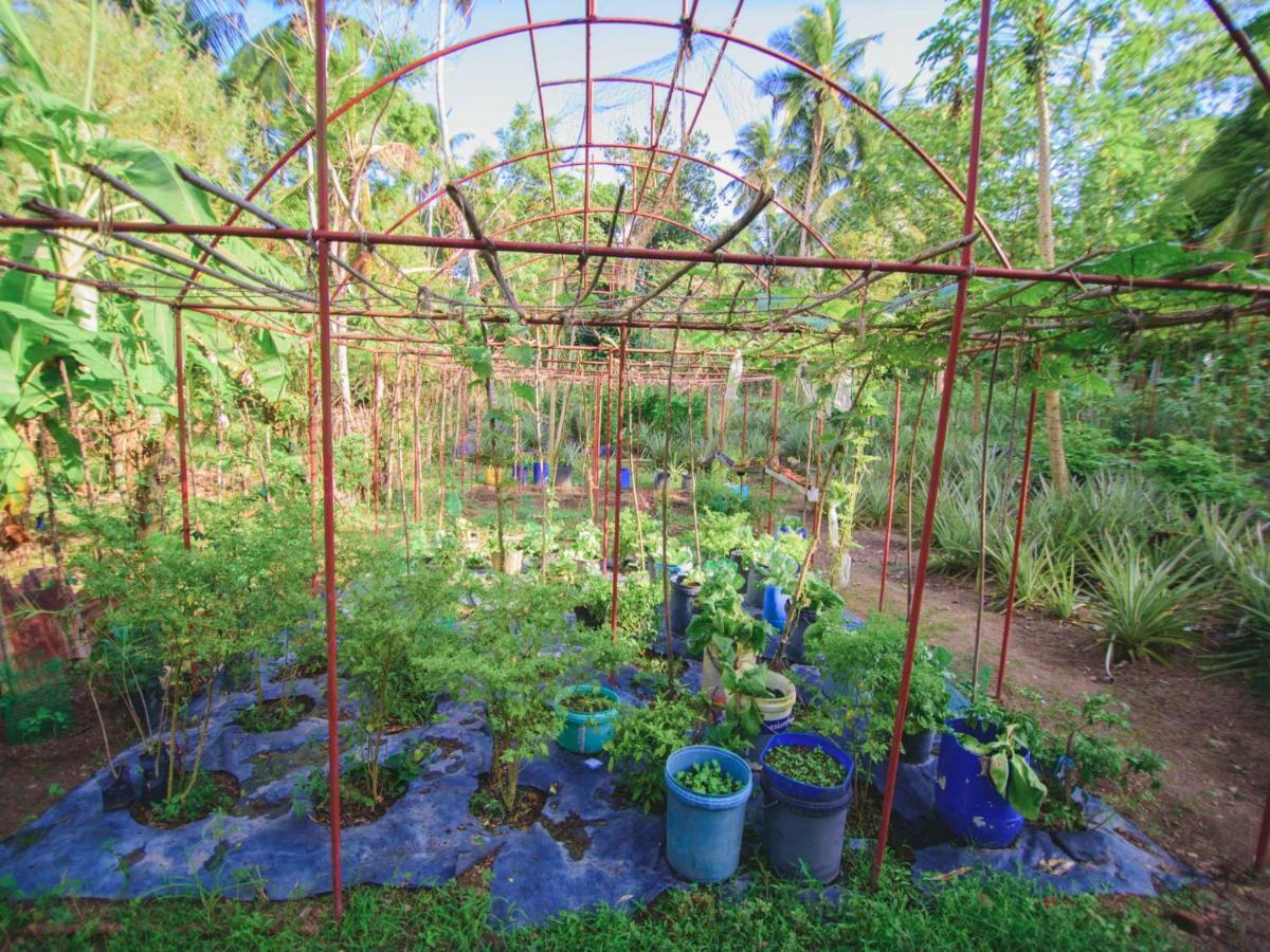 Thalpe Walawwa Heritage Villa Unawatuna Extérieur photo