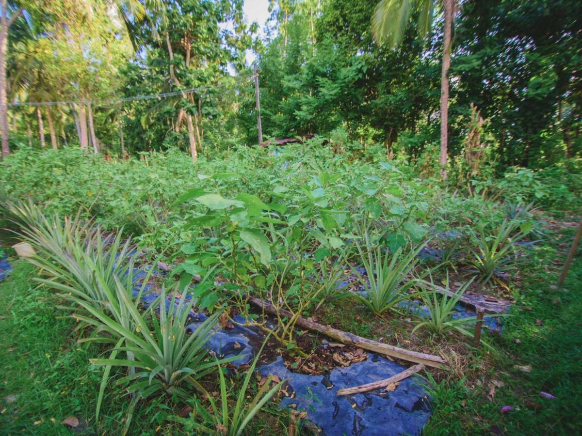 Thalpe Walawwa Heritage Villa Unawatuna Extérieur photo